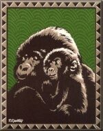 Mountain Gorilla Conservation Fund